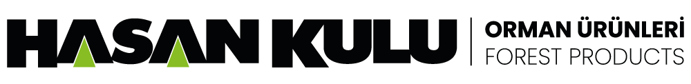 Hasan Kulu